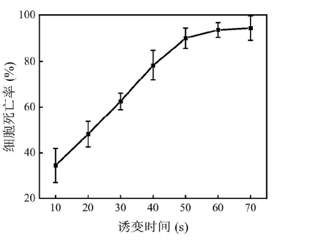 298918181348f9bd403a52cb206ea2c 298918181348f9bd403a52cb206ea2c