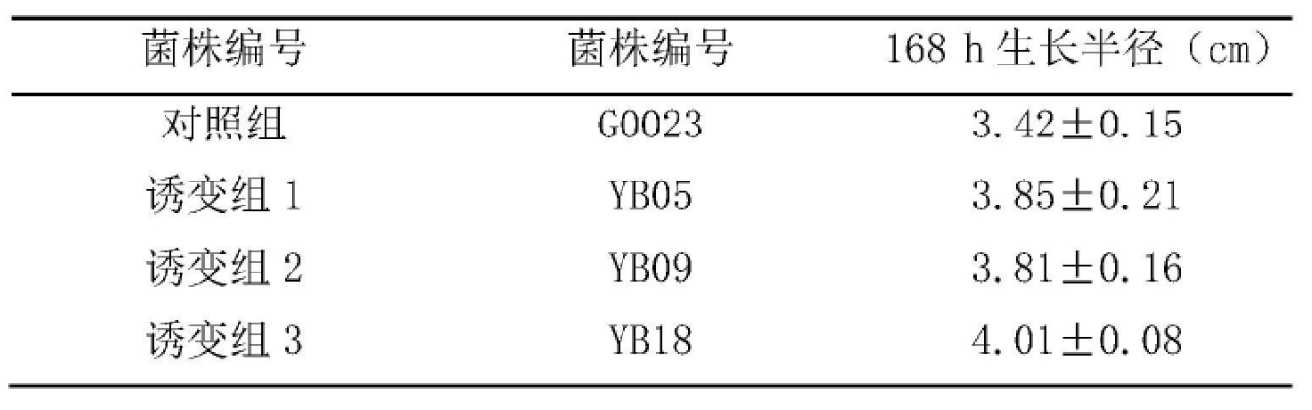 3ac0fc6f706504b6ca6080b638485d1 3ac0fc6f706504b6ca6080b638485d1