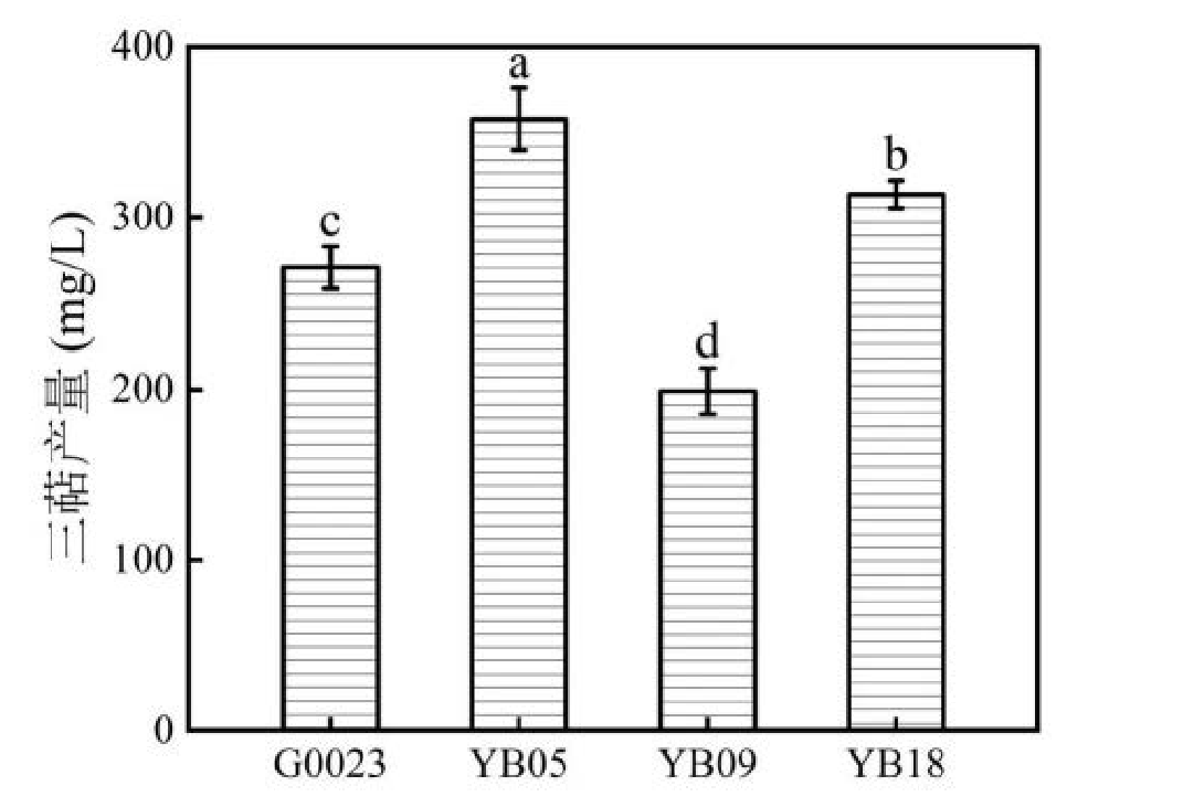 6792e492129f6b19948aedc29ab013f 6792e492129f6b19948aedc29ab013f
