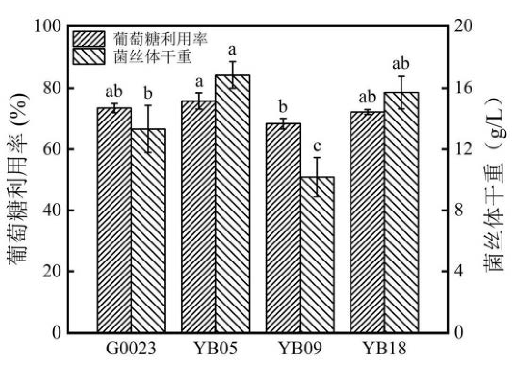 42797ba87f68c117404613653232160 42797ba87f68c117404613653232160