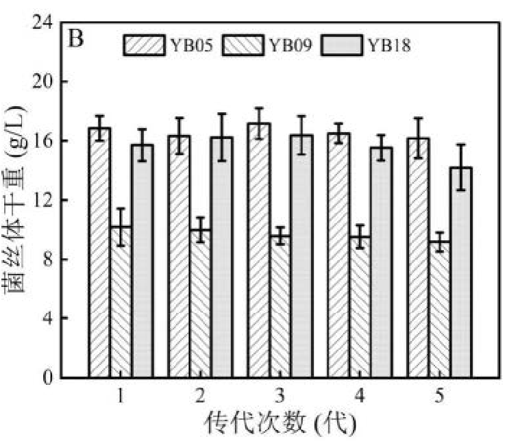 49a277efcb0c3036782a5461c576b00 49a277efcb0c3036782a5461c576b00